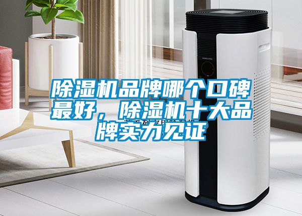 除濕機(jī)品牌哪個(gè)口碑最好，除濕機(jī)十大品牌實(shí)力見證