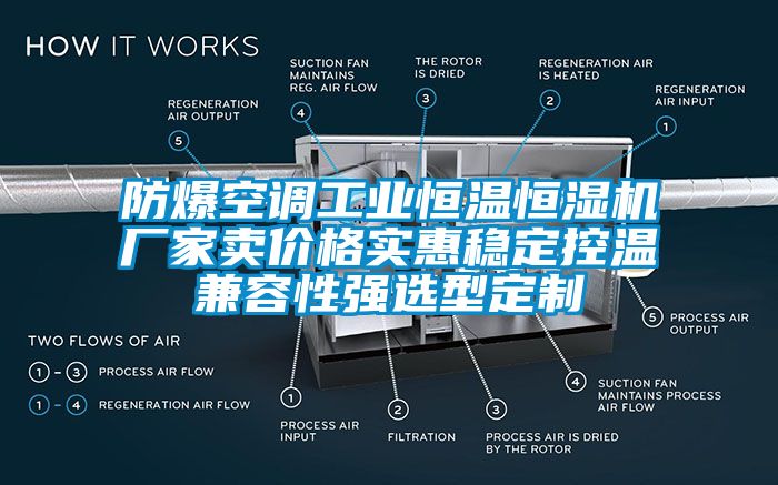 防爆空調(diào)工業(yè)恒溫恒濕機廠家賣價格實惠穩(wěn)定控溫兼容性強選型定制