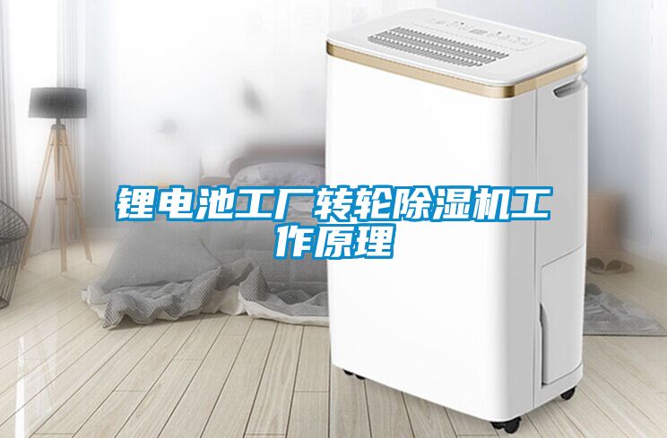 鋰電池工廠轉(zhuǎn)輪除濕機工作原理