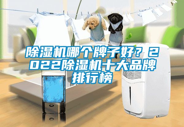 除濕機哪個牌子好？2022除濕機十大品牌排行榜