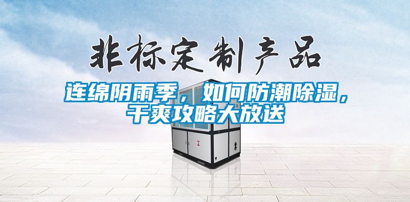 連綿陰雨季，如何防潮除濕，干爽攻略大放送