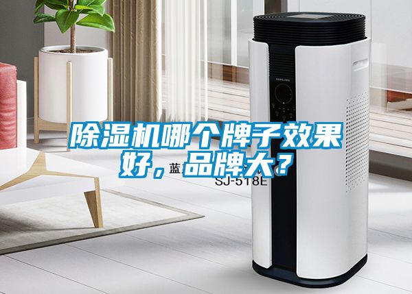 除濕機哪個牌子效果好，品牌大？