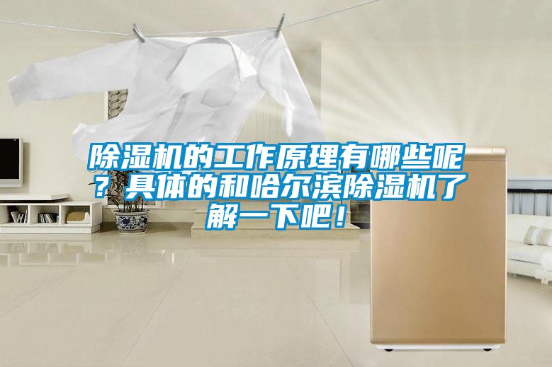 除濕機的工作原理有哪些呢？具體的和哈爾濱除濕機了解一下吧！