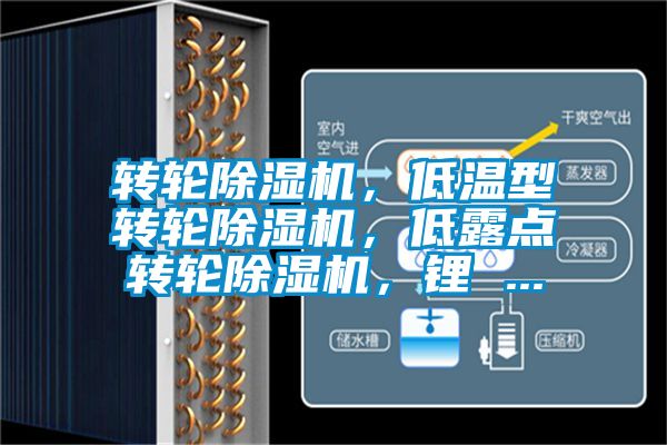 轉(zhuǎn)輪除濕機(jī)，低溫型轉(zhuǎn)輪除濕機(jī)，低露點(diǎn)轉(zhuǎn)輪除濕機(jī)，鋰 ...