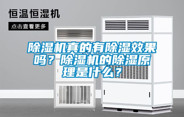 除濕機(jī)真的有除濕效果嗎？除濕機(jī)的除濕原理是什么？