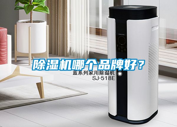 除濕機(jī)哪個品牌好？