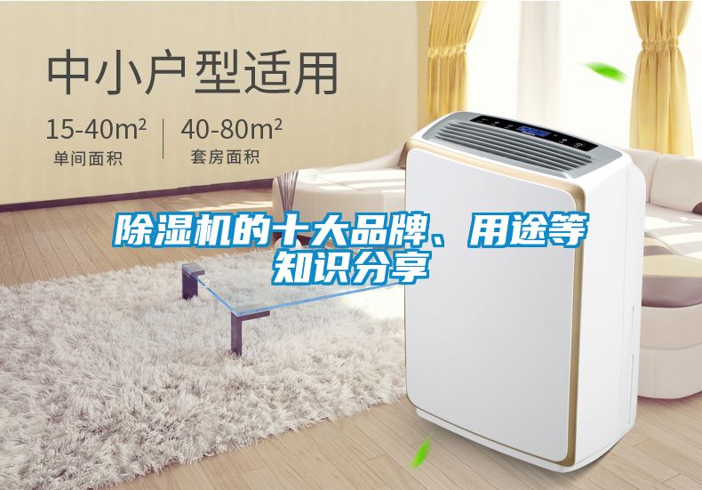 除濕機的十大品牌、用途等知識分享