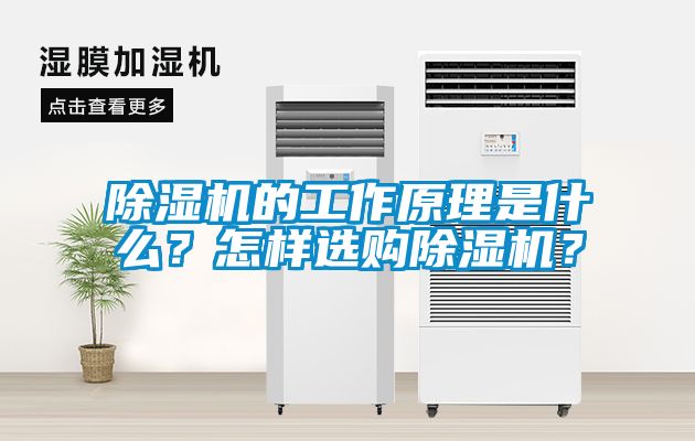 除濕機的工作原理是什么？怎樣選購除濕機？