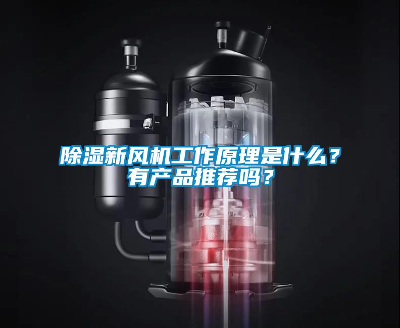 除濕新風機工作原理是什么？有產品推薦嗎？