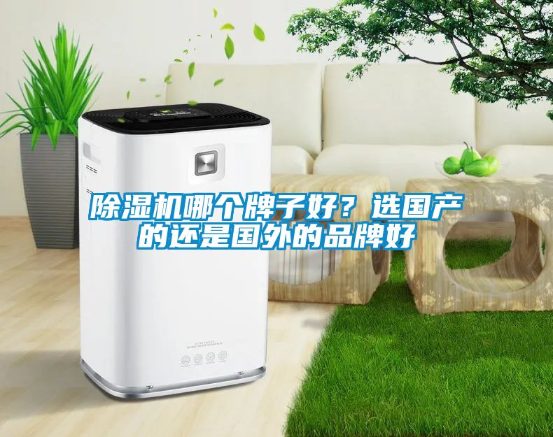 除濕機(jī)哪個(gè)牌子好？選國(guó)產(chǎn)的還是國(guó)外的品牌好