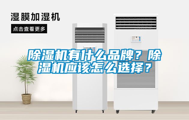 除濕機(jī)有什么品牌？除濕機(jī)應(yīng)該怎么選擇？