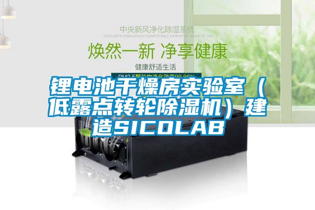 鋰電池干燥房實驗室（低露點轉(zhuǎn)輪除濕機）建造SICOLAB