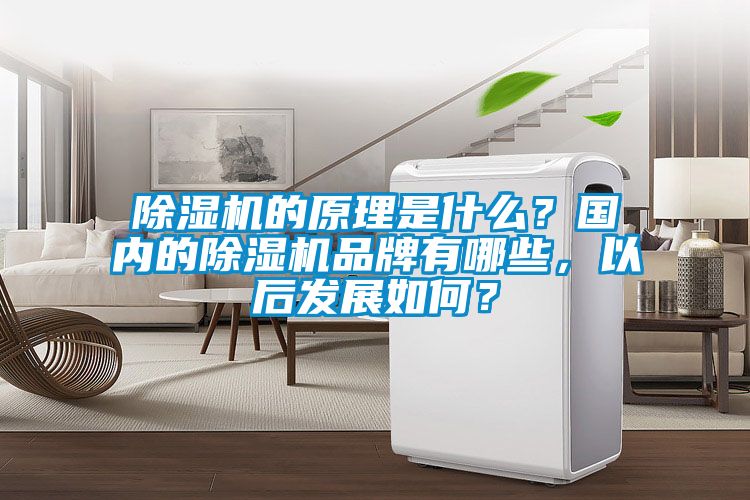 除濕機的原理是什么？國內的除濕機品牌有哪些，以后發(fā)展如何？