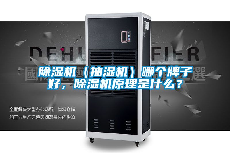 除濕機（抽濕機）哪個牌子好，除濕機原理是什么？