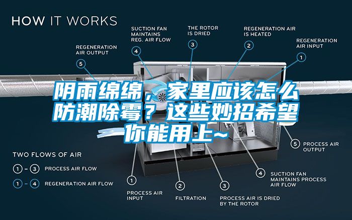 陰雨綿綿，家里應該怎么防潮除霉？這些妙招希望你能用上~