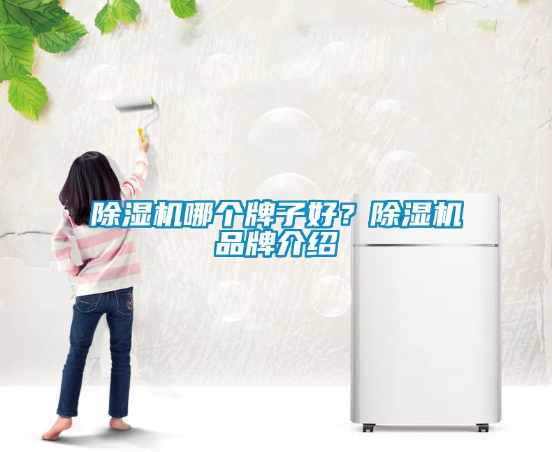 除濕機哪個牌子好？除濕機品牌介紹