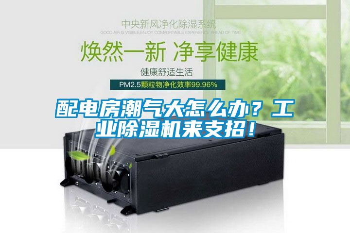 配電房潮氣大怎么辦？工業(yè)除濕機(jī)來支招！