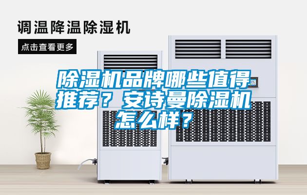 除濕機品牌哪些值得推薦？安詩曼除濕機怎么樣？