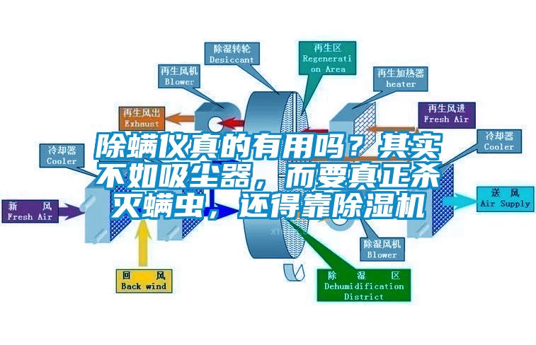 除螨儀真的有用嗎？其實(shí)不如吸塵器，而要真正殺滅螨蟲，還得靠除濕機(jī)